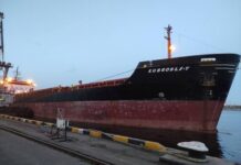 Из портов Одесской области вышли еще шесть судов с агропродукцией