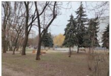 В Одессе началось строительство бювета, но пострадают зеленые насаждения