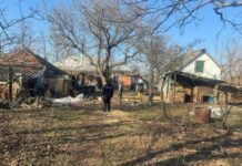 Зарезал и бросил в колодец: в Одесской области вынесли приговор парню, убившему собаку